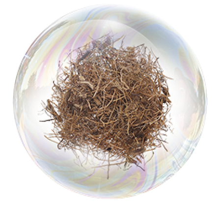 Маралий корень